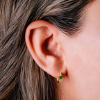 Evry Jewels Champagne Earrings