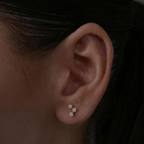 Evry Jewels Constellation Earrings