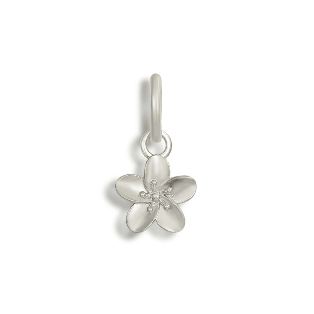 Evry Jewels Shoe Charms
