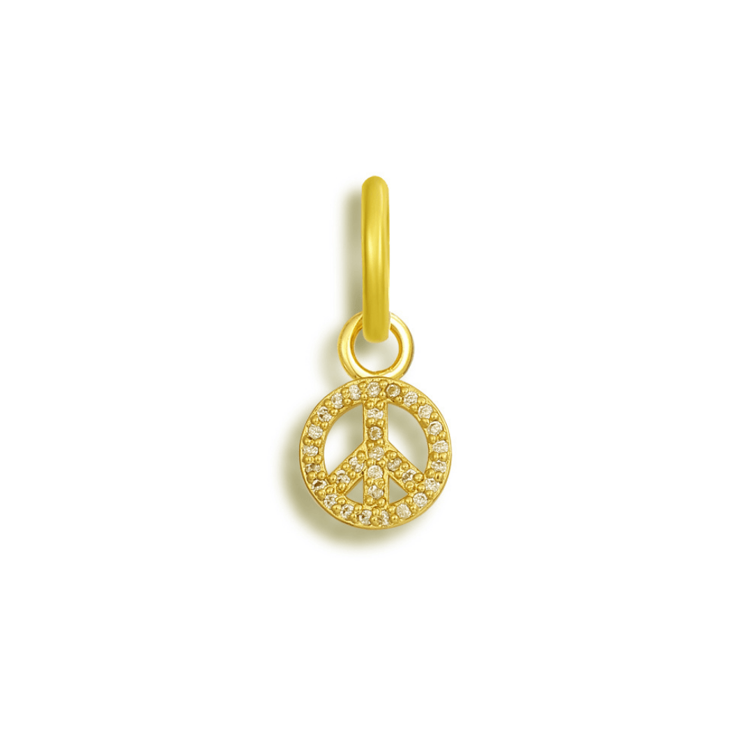 Evry Jewels Shoe Charms
