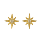 Evry Jewels Radiant Star Earrings